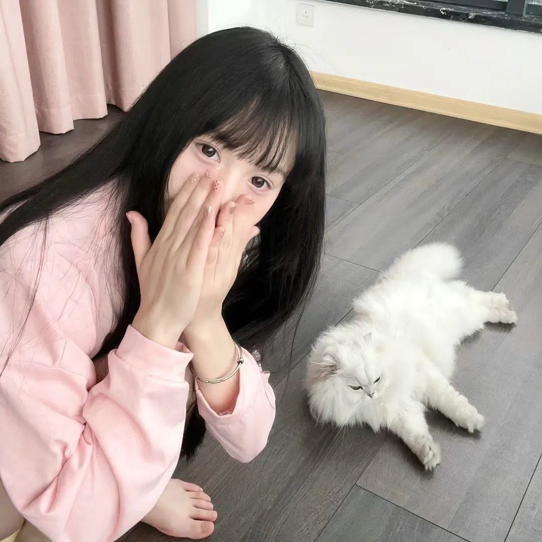 楊八妹招親粤语